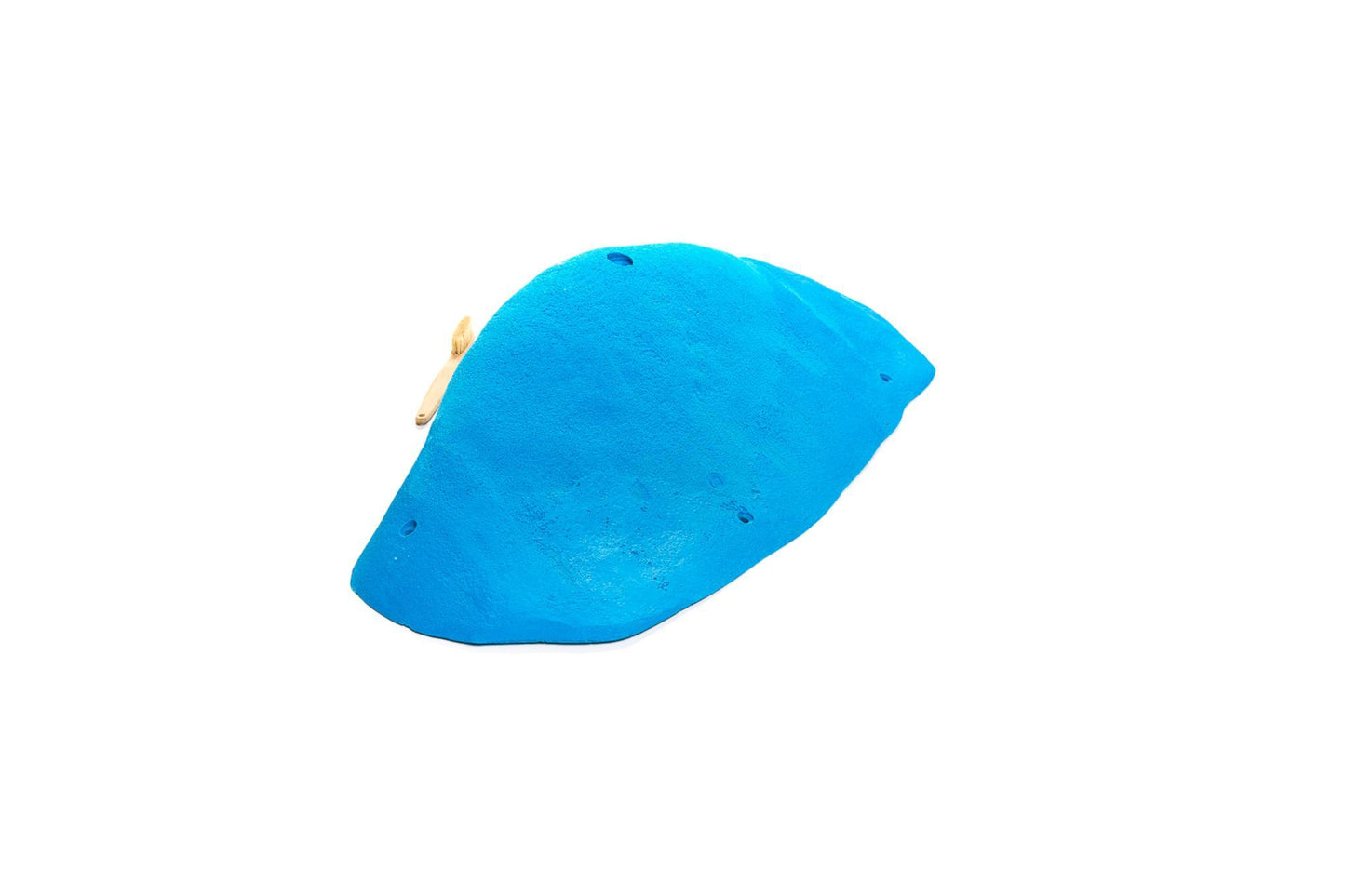 2018 MEG 6