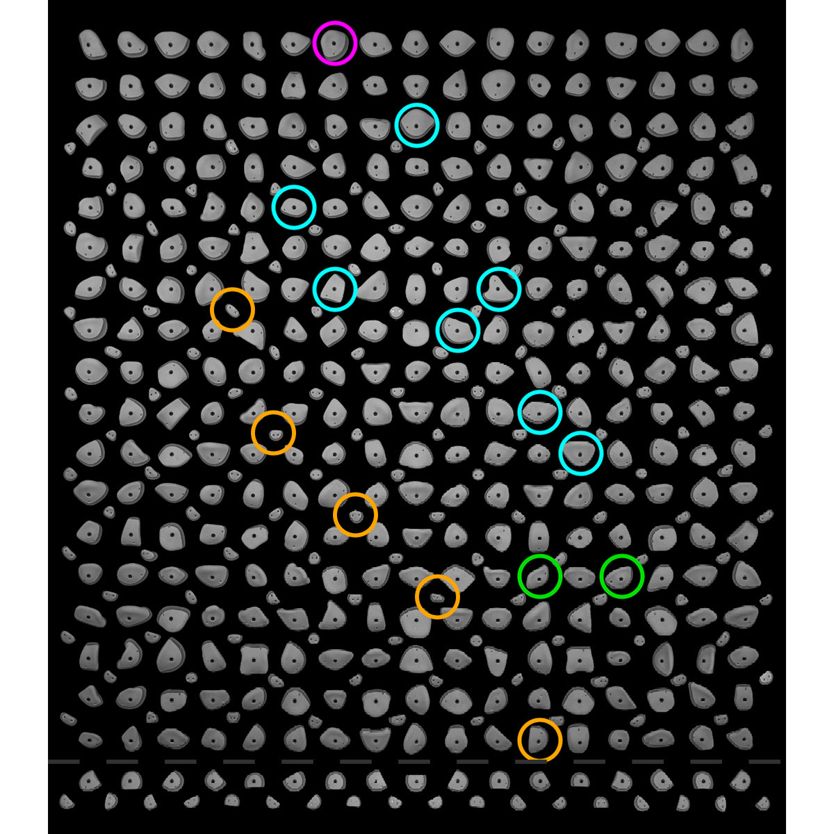 Holds & LEDs - Original Kilter Board 12x12