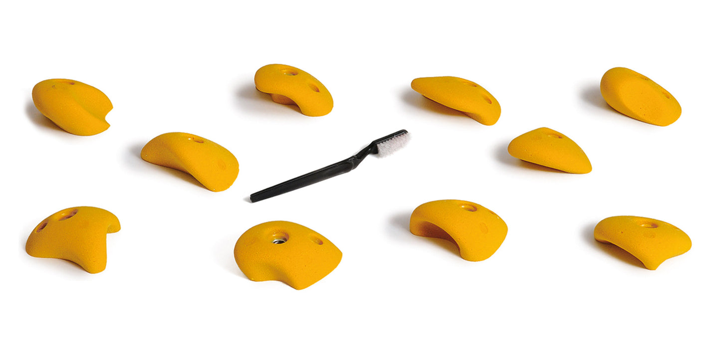 V-Pure 2.0 - Player 4