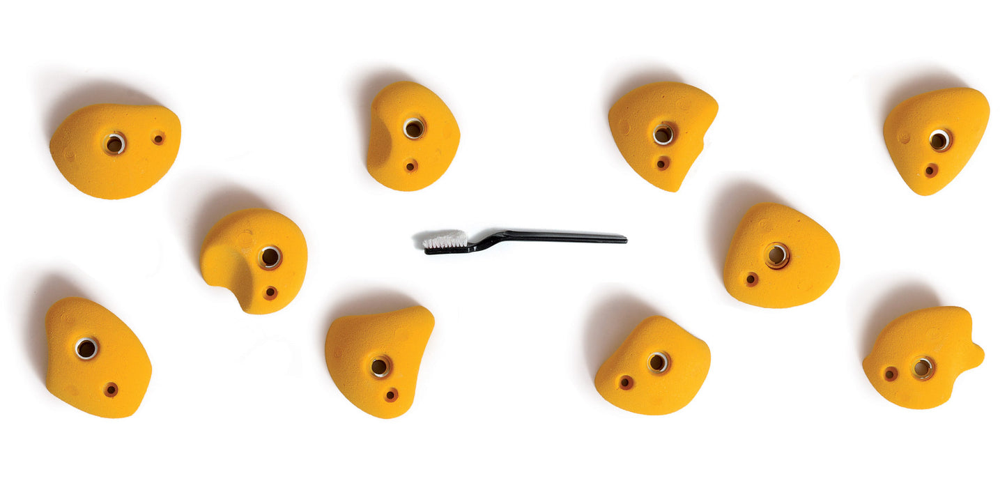 V-Pure 2.0 - Player 4